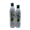 Matrix biolage cooling mint shampoo 16.9 oz & conditioner 13.5 oz set