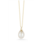 Ember Fine Jewelry 14k gold pearl necklace