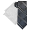 Steve Harvey Mens Stripe Paisley Tie & Pocket Square Set