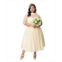 Unique Vintage Plus Size Ivory Chiffon Lille Wedding Dress