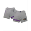 Two Hype Mens and Womens NBA x Heather Gray Los Angeles Lakers Culture and Hoops Premium Classic Fleece Shorts