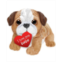 First and Main Valentine Bruno Bulldog