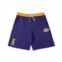 Profile Mens Lebron James Purple Los Angeles Lakers Big and Tall French Terry Name & Number Shorts