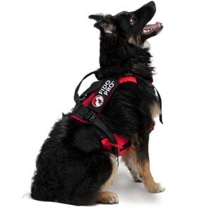 Fido Pro Panza Harness + Deployable Emergency Dog Rescue Sling