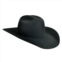 Bailey Western Stellar 20X Cowboy Western Hat