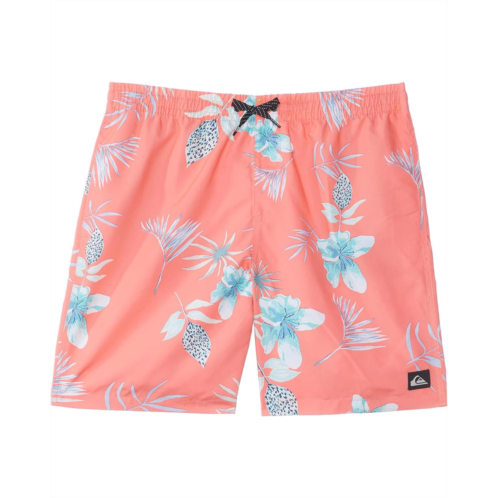 Quiksilver Kids Everyday Mix Volley (Toddler/Little Kids)