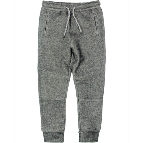 Appaman Kids Sideline Sweats (Toddler/Little Kids/Big Kids)