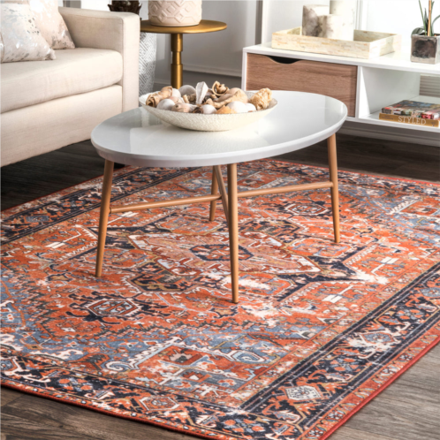 NuLOOM vintage sherita area rug