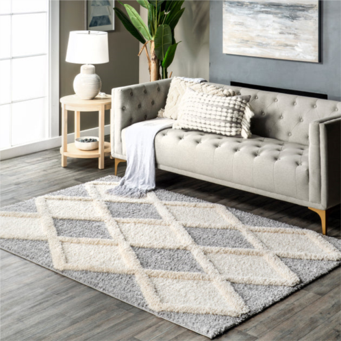 NuLOOM eimile diamond trellis shag area rug