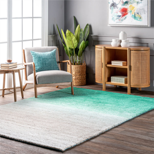 NuLOOM handmade ombre shag area rug