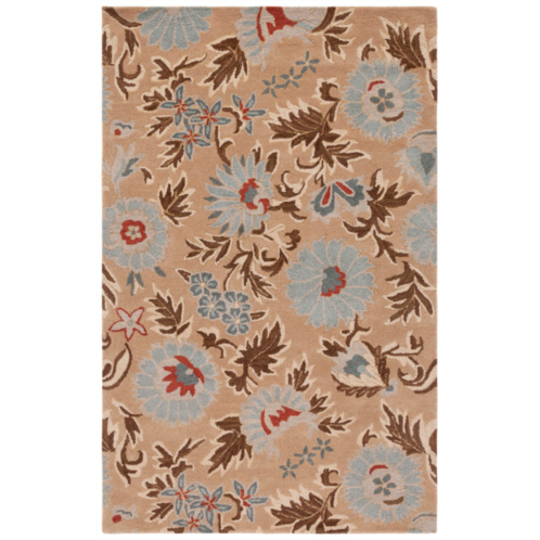 Safavieh blossom hand-hooked rug