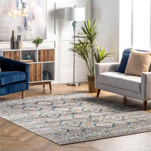 NuLOOM vintage sherell area rug