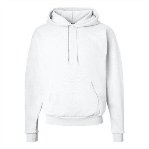 Hanes ecosmart hooded sweatshirt