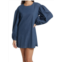 Amur Ace Denim Long Sleeve Shift Dress