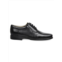 Sandro Moscoloni ?Belmont Leather Oxford Shoes