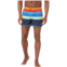 Mens Speedo Engineered Print 14 Redondo Volley