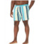 Johnny Bigg Big & Tall Cabana Stripe Stretch Swim Shorts