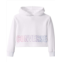 Converse Kids Fleece Glitter Wordmark Logo Pullover Hoodie (Little Kids)