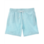 Trunks Surf & Swim Co. sano short