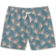 chubbies Mens Classic 5.5 Swim Trunks