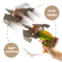 YAOQIANSHU Airplane Launcher Shooting Toy with 4 Dinosaur Targets, 2 Foam Pterosaur Rocket Game for Outdoor - Perfect Kids Toys for Christmas & Easter Gift with Multicolor