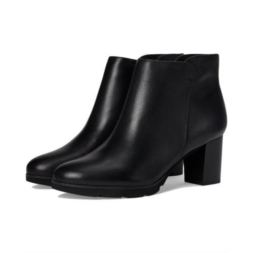 Rockport Olive