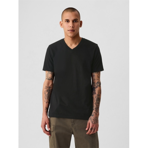 Gap Cotton Jersey V-Neck T-Shirt