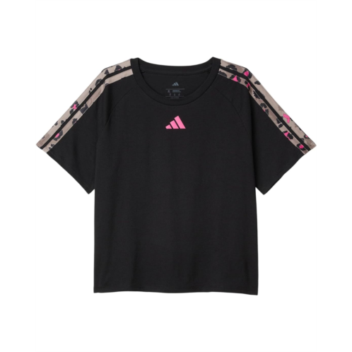 adidas Kids All Over Print3-stripes Raglan Tee (big Kid)