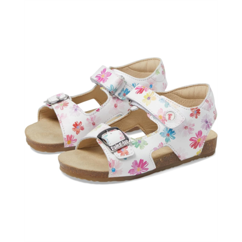 Naturino Falcotto Gory (Toddler)