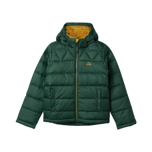 L.L.Bean Kids LLBean Kids Beans Down Jacket (Big Kids)