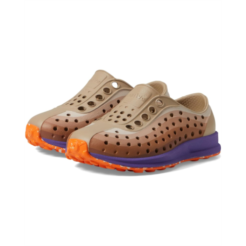 Native Shoes Kids Robbie Print (Toddler)