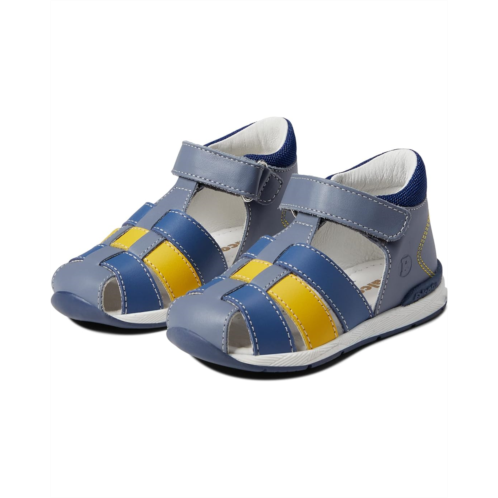 Naturino Falcotto Acry (Toddler)