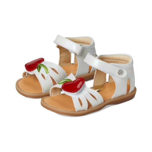 Naturino Lepaz (Toddler/Little Kid)