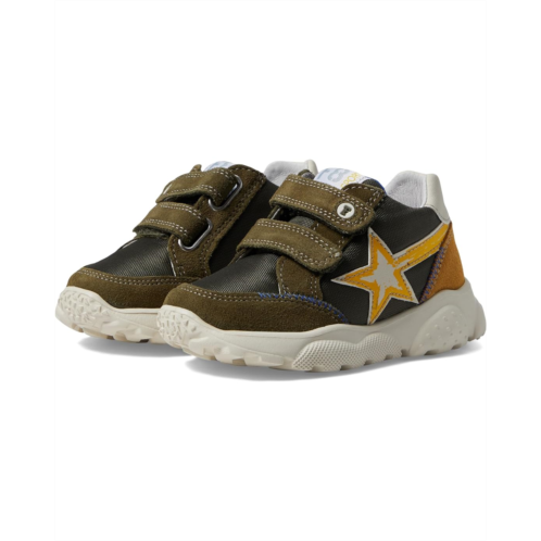 Naturino Falcotto Amantea Star VL (Toddler)