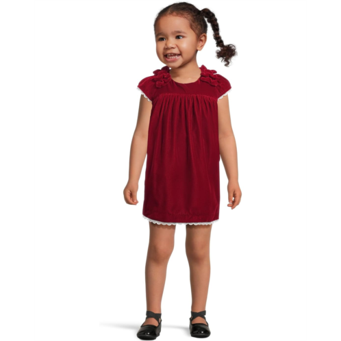 Janie and Jack Velvet Bow Dress (Infant)