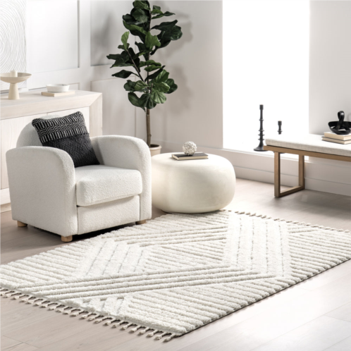 NuLOOM risette geometric shag tassel area rug