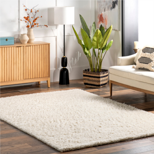 NuLOOM nida plush shaggy area rug