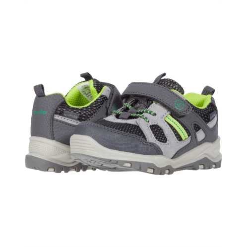 Stride Rite Artin 20 (Toddler/Little Kid)