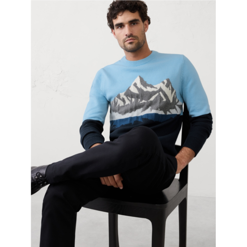 bananarepublic Graphic Colorblock Sweater