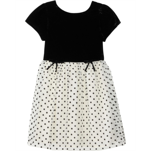 Janie and Jack Velvet Dot Dress (Toddler/Little Kid/Big Kid)
