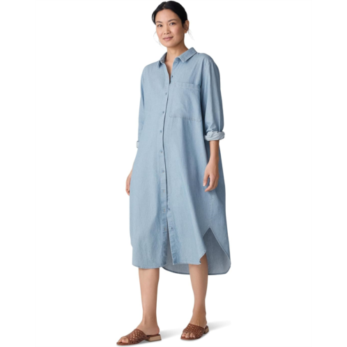 Eileen Fisher Classic Collar Dress