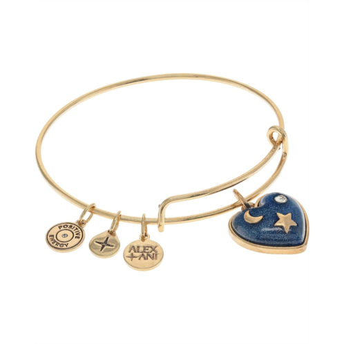 Alex and Ani Path of Symbols Heart Bracelet