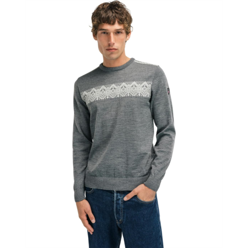 Mens Dale of Norway Stenberg Sweater