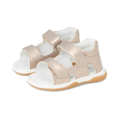 Naturino Falcotto Laves (Toddller)