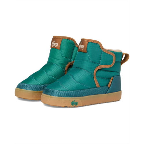 See Kai Run Teddy (Toddler/Little Kid)