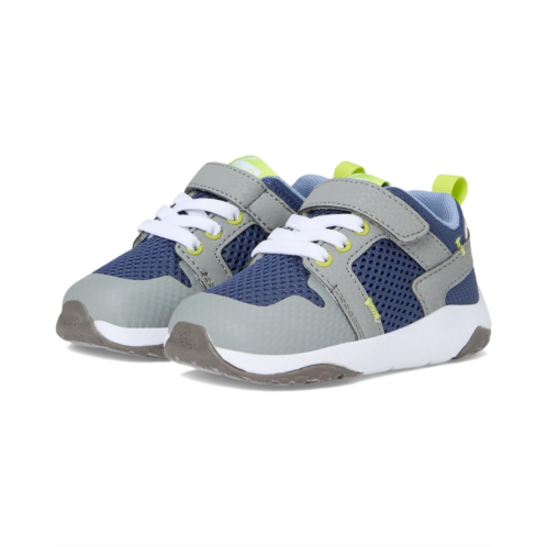 See Kai Run Viento (Toddler/Little Kid)