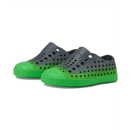 Native Shoes Kids Jefferson Print (Toddler)