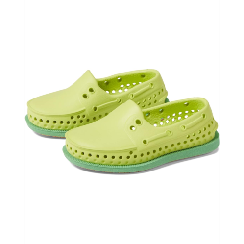 Native Shoes Kids Howard Sugarlite (Toddler)