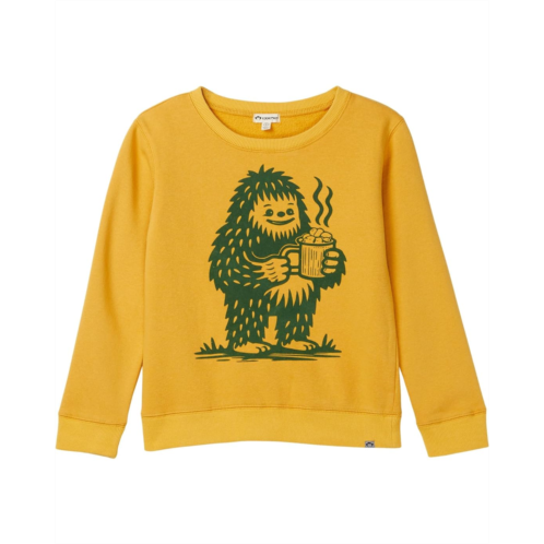 Appaman Kids Revel Crewneck Sweatshirt (Toddler/Little Kids/Big Kids)