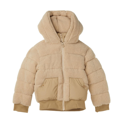 Appaman Kids Teddy Puffer Coat (Toddler/Little Kid/Big Kid)